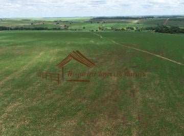 Rural , Bauru · Fazenda com 226 alqueires, região de Bauru-SP