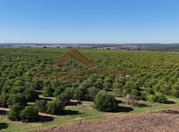Rural , Avaré · Fazenda a venda com 33 alqueires, plantado laranja na região de Avaré-SP