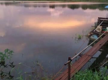 Chácara a Venda em Alvorada do Sul · Chácara a Venda em Alvorada do Sul