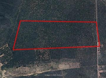 Rural · Rurais - leilão - em Mirangaba