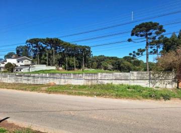 Terreno , Curitiba · Vendo Terreno de 5544 m² à venda em Novo Mundo