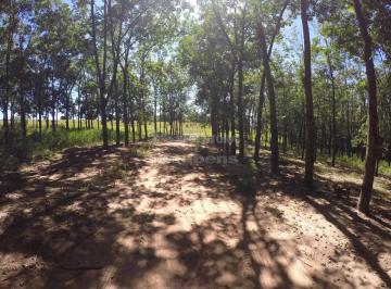 Imagem 1 · Fazenda