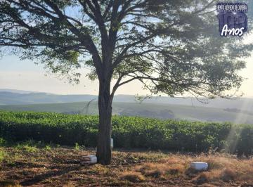 Imagem 1 · Fazenda para venda em Centro, Eldorado do Sul