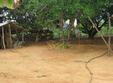 Imagem 1 · Fazenda