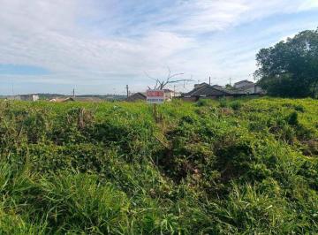 05a9a63aa92bea8a61b497d0e15a134e41f682b2 · Terreno à venda, 250 m² por R$ 150.000,00 - Flores do Aguassaí - Cotia/SP