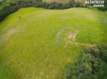Imagem 1 · Sítio para venda em Bandeira do Sul