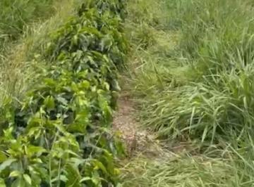 Imagem 1 · Fazenda