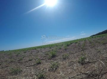 Imagem 1 · Fazenda