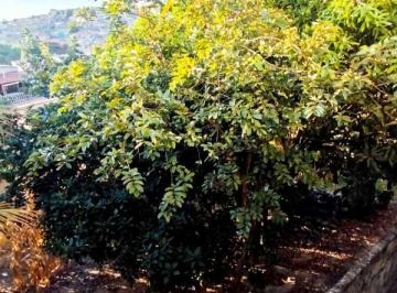 Imagem 1 · Terreno
