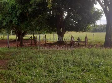 Imagem 1 · Fazenda
