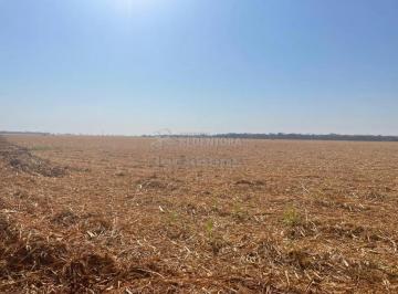 Imagem 1 · Fazenda