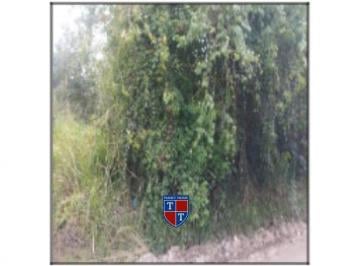Foto 1 · R$ 82.786,76 - Terreno - RJ - ITABORAI - AGRO BRASIL (SAMBAETIBA)