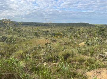 Rural , Luziânia · FAZENDA AREA 186HA PLANA LUZIANIA