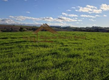 Rural , Itapetininga · EXCELENTE FAZENDA A VENDA EM ITAPETININGA - SP