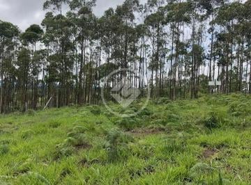 WhatsApp Image 2026-06-24 at 11.54.44.jpeg · TERRENO EM JARINU - SP