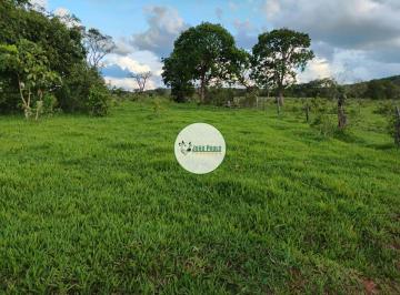 Rural , Ituiutaba · Área para pecuária a venda em ITUIUTABA-MG - 28 Hectares - Plana