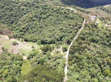 Rural , Campo Largo · Área para reflorestamento em campo largo 25.6 Ha
