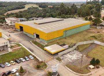7297_ii9R_72976a42868ba8f81.jpg · Barracão Industrial - Região Metropolitana de Curitiba