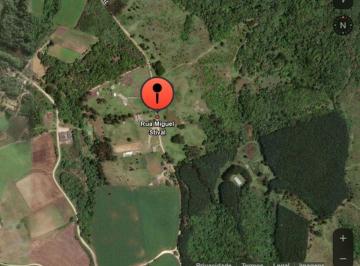 Rural , Almirante Tamandaré · Chácara em Almirante Tamandaré - Bairro Marmeleiro - 124.541,00m²