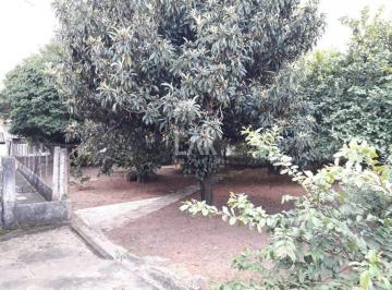 Terreno · 1350m² · Lote - Terreno à venda, Pompéia - Belo Horizonte/MG