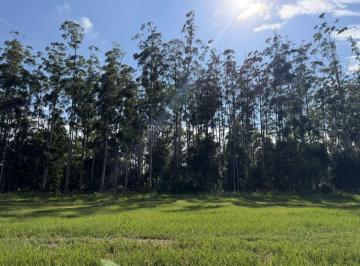 20150551db23ccba568ad645620053.jpeg · Terreno Fundo Área Verde de 583 m² próximo à portaria de serviços do Santa Bárbara Resort Residence