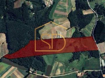 area-a-venda1444211.jpeg · Espetacular Área à venda, 37.168,32m² na Colônia Marcelino em São José dos Pinhais