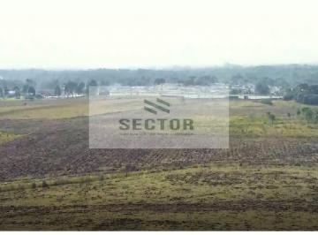 Terreno · 400000m² · Terrenos / Lotes / Áreas em Dom Rodrigo - São José dos Pinhais