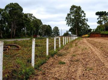 Terreno · 400000m² · Terrenos / Lotes / Áreas em Dom Rodrigo  -  São José dos Pinhais