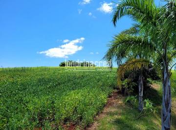 Rural de 1 quarto Venda R$ 2.489.000 · Chácara em Jardim São Jorge, Londrina/PR de 10m² 1 quartos à venda por R$ 2.489.000,00