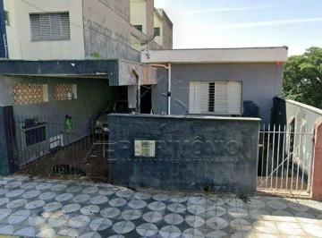 Terreno · 360m² · Terreno 360,00 M² Leão