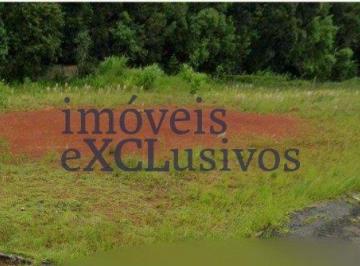 Terreno · 439m² · Terreno à Venda em Campo Largo