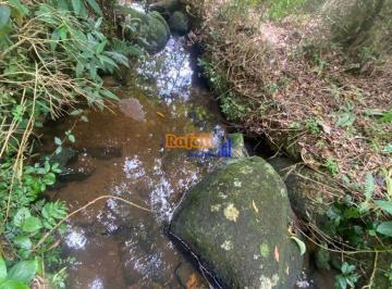 oeejbj2ycdytwnda6fugbwfgukjcdfbwl5l36oj2ve2ytm5mzhlztk2mdnl_md · Sítio à Venda em Garopaba – Região do Macacu. Próximo a Siriú