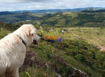seryxfzzgdimmgogueglia1ty0esolczmca5pt33fq2ytm2ogjjzta3owuy_md · Propriedade, Sítio na Serra Catarinense 9 hectares Privacidade, Natureza ...