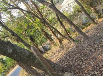 Terreno · 1340m² · Terreno em Durando Mumare (Mailasqui), São Roque/SP de 1340m² à venda por R$ 360.000,00