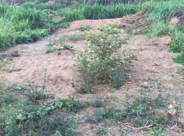 Terreno · 150m² · Terreno em Jardim do Marquês, Jacareí/SP de 0m² à venda por R$ 117.000,00