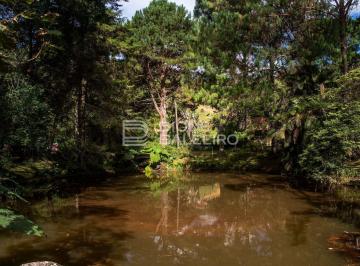 Rural · 44000m² · 18 Quartos · Uma vila privada com renda em Santo Antônio do Pinhal.