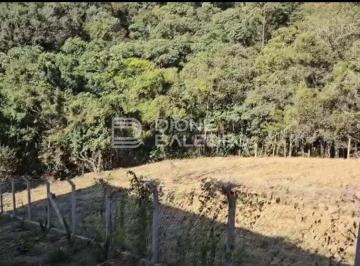 Terreno · 1000m² · Amplo terreno em harmonia com a natureza