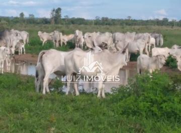 i1.jpg · Vendo Fazenda 5400hectares BURITIZEIRO MG