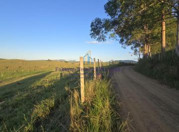 202504081313333067.jpg · Fazenda com 21 milhões de m2 em Goianá - Minas Gerais à venda toda em braquiária pronta para Criaçã