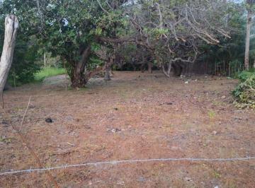 Rural , Jijoca de Jericoacoara · Terreno Rural com Plantação de Coco, Próximo a Jericoacoara e Preá beach - 50.000 m²