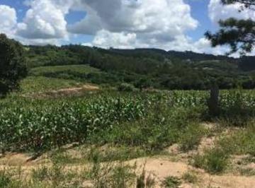 Terreno , Dom Feliciano · Imóvel rural 3,3120ha - Linha Schneider - Dom Feliciano/RS