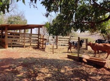 Rural · 21000m² · SITIO NO BAIRRO DOS MACHADOS