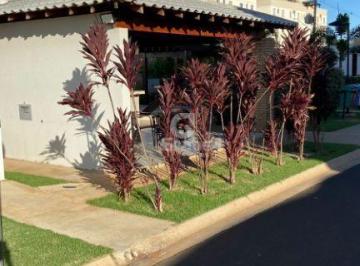 Apartamento · 50m² · 2 Quartos · 1 Vaga · Apartamento para locacao – Residencial Parque das Tulipas I