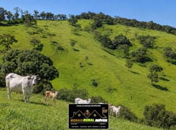 Rural de 3 quartos, Ouro Fino · FAZENDA A VENDA PARA MAIS DE 500 CABEÇAS DE GADO (11)9.6919-9355