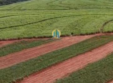 Rural · 498m² · FAZENDA À VENDA – REGIÃO DE PRESIDENTE PRUDENTE/SP
