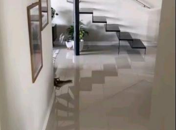 Apartamento · 186m² · 3 Quartos · 2 Vagas · Apartamento Cobertura em Belenzinho - São Paulo
