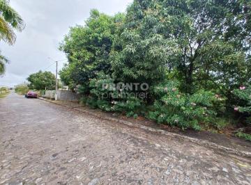 Terreno · Chácaras de Porto - Rodovia Ipojuca, nº 6. Porto de Galinhas, Ipojuca PE. Bloco Km 06, 006 - QUADRA