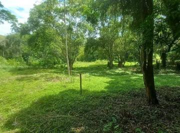 bc307c71e51e1c3cea528e52d1e0c944a886a52a · Terrenos planos prontos para construir junto a reserva florestal.