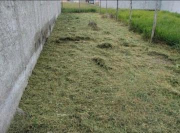 09fdeba475a4513a3002b852d1cacfabe2db3405 · Terreno à venda, 125 m² por R$ 75.000 - Residencial E Comercial Portal dos Eucaliptos - Pindamonhang