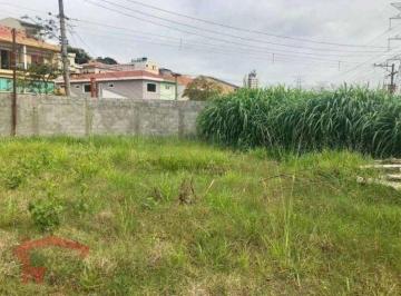 94fd2948a8cd7ffeba5c9a1fedda585d4cf46468 · Terreno à venda, 325 m² por R$ 890.000,00 - Parque São Domingos - São Paulo/SP